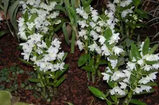 Bild 10.webp
