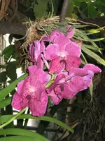 Bild 11.webp
