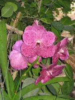 Bild 16.webp