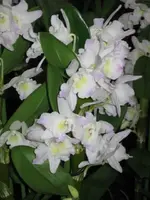 Bild 18.webp