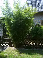 IMG00097.webp
