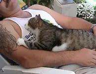 gartencat4.webp