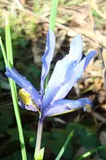 DSC03374.webp