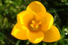 DSC03348.webp