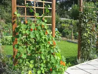 garten.webp