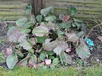 IMG_0625_klein.webp