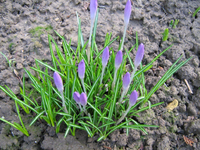 IMG_1420.webp