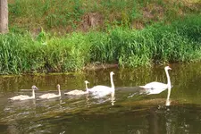 2006KW29_3162.webp