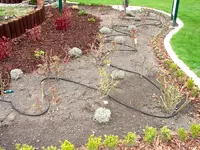 2008KW16_7937.webp