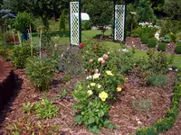 2008KW30_8879.webp