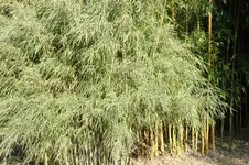 DSC02815(1).webp