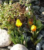 P1030865_532_600.webp