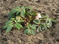Bild 2.webp