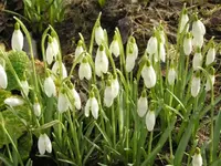 Bild 6.webp