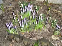 Bild 10.webp