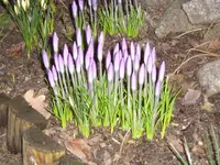 Bild 11.webp
