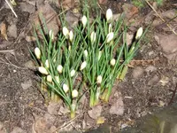 Bild 12.webp