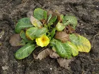 Bild 3.webp