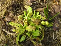 Bild 05.webp