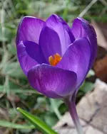 3.webp