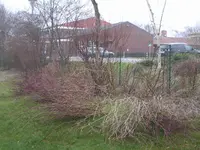 Garten 003.webp