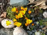 P1030887_600_450.webp