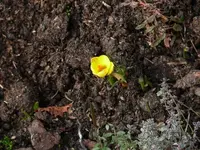 P1030891_600_450.webp