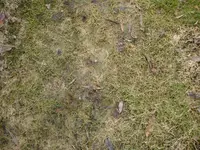 DSC00901-klein.webp