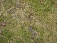 DSC00904-klein.webp