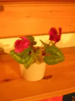 verschiedenes 027.webp