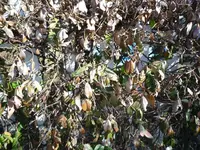 P1000458-c.webp