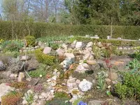 gartenbilder april2008 041.webp
