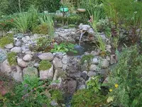12-der fertige teich.webp