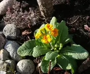 P1030912_600_496.webp