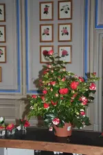 _MG_1764_Größenveränderung.webp