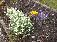 Garten Anfang März.09 018.webp