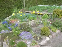 gartenbilder april2008 062.webp