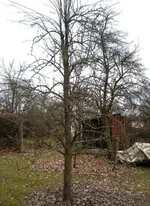 In Schwabach unterwegs 032.webp