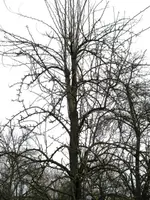 In Schwabach unterwegs 033.webp
