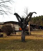 In Schwabach unterwegs 036.webp