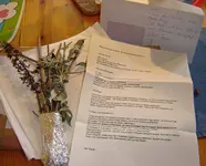 DSC02538.webp