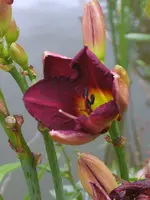 bild neu 052.webp