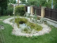 Gartenteich.webp