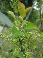 DSC03517.webp