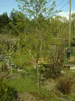 DSC03519.webp