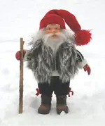 nisse.webp nisse.webp