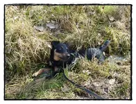 Branko im Wasserbad (15).webp