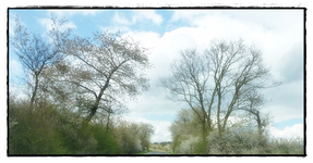 Fahrt ins Revier (2).webp