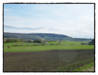 Nesselbacher Flur (4).webp