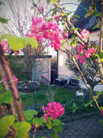 20120423190432.webp